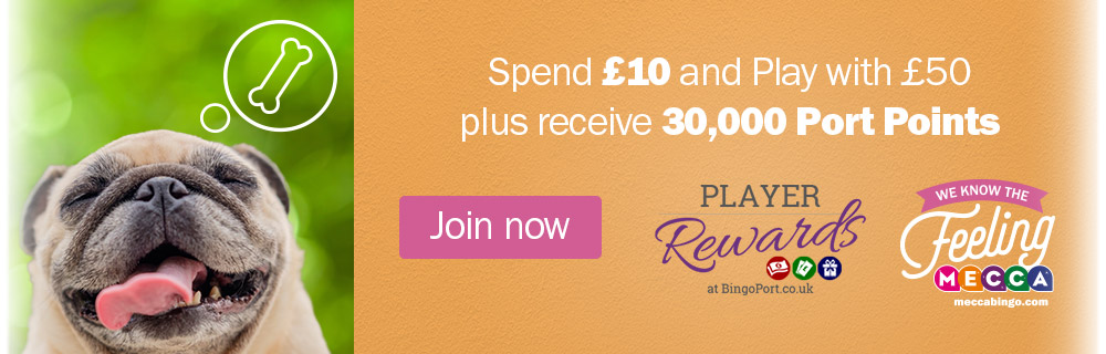 Bingo Journey Free Cash